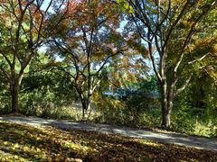 -昆山城市生态森林公园