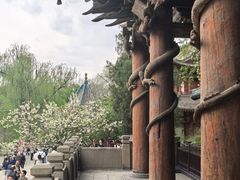 -晋祠公园