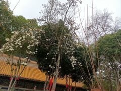 -宝通禅寺