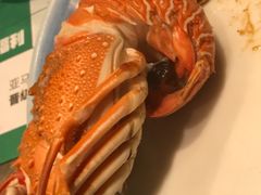 -亚马逊蒸汽活海鲜自助(LCM置汇旭辉广场店)