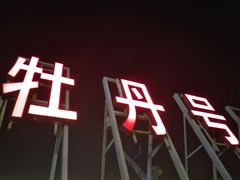 -武汉两江游览·夜游长江(汉口粤汉码头)