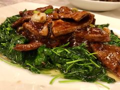 -梅龙镇酒家(南京西路总店)