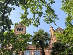 -上海佘山国家森林公园西佘山园