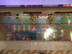 -碧涛阁·泡泡海洋·汤泉洗浴(王府花园店)