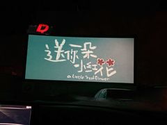 -枫花园汽车电影院(朝阳公园店)