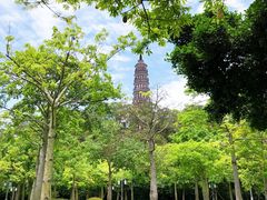 -顺峰山公园
