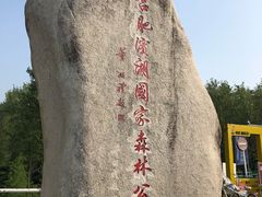 -合肥滨湖国家森林公园