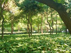 -玲珑塔公园