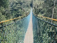 -云南屏边大围山国家公园