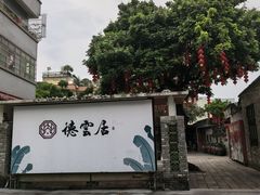 -德云居
