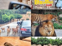 -乐和乐都主题乐园