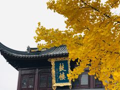 -圆通寺