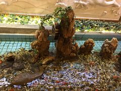 -良友·海鲜青岛菜(五四广场店)