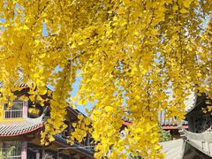 -上海青龙寺