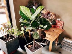 -十一咖啡(青年大街工厂店)