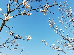 -广富林郊野公园