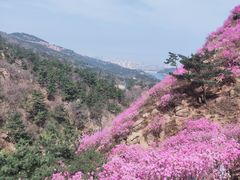 -青岛大珠山景区