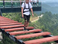 -梦幻奥陶纪景区