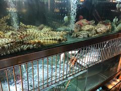 -雅憩花园餐厅