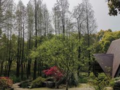 -上海滨江森林公园