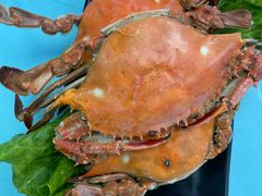 -崴海渔村(虹梅路店)