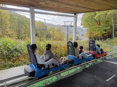 -长白山万达喜来登度假酒店