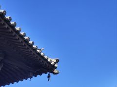 -善化寺