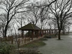 -紫金山山顶公园
