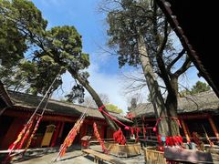 -少华山国家森林公园