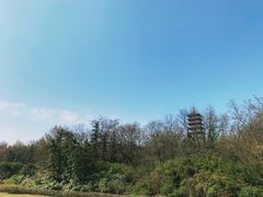 -宜兴龙背山森林公园