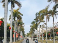 -厦门大学(思明校区)