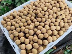 -东方鼎信农副产品交易中心