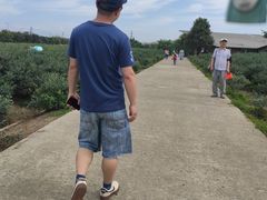 -金谷域澳洲庄园