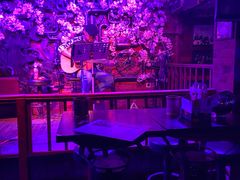 -周庄红庭演艺酒吧