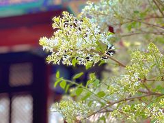 -恭王府博物馆