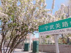 -八大关景区