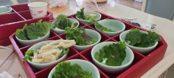 -北京享悦时光月子会所