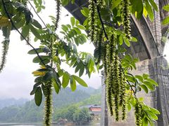-边城茶峒景区