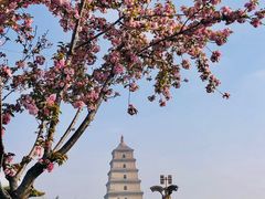 -大雁塔文化休闲景区-北广场