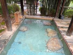 -崇阳三特浪口温泉