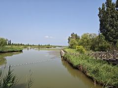 -野鸭湖国家湿地公园