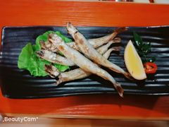 -葉家.焼鳥.居酒屋(惠利街店)