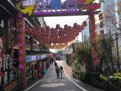 -重庆十八梯传统风貌区