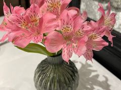-食廬(浦东嘉里城店)