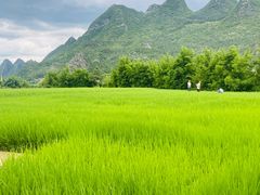 -万峰林风景区