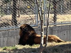 -石家庄市动物园