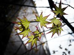 -钟山体育运动公园