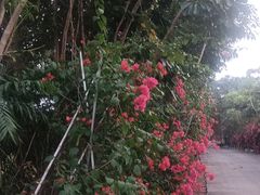 -天下先生态园农庄CS团建露营地(海鸥岛店)