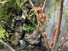 -默迹咖啡馆