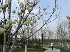 -西海子公园